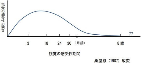 弱視（じゃくし）って？ ～こどもの視力発達～ | 岐阜市加納の眼科 